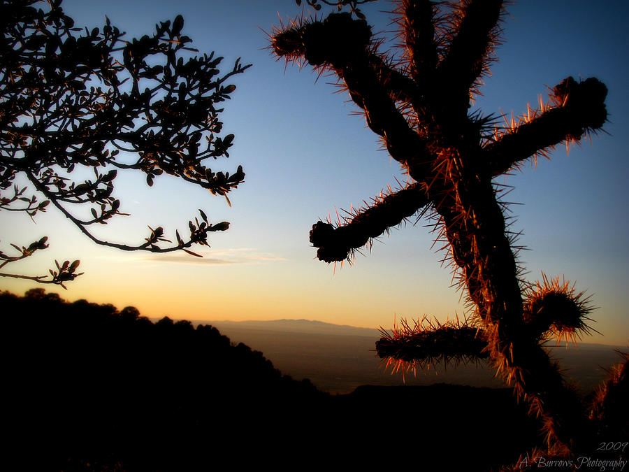 Sunset in the Sandias Photograph by Aaron Burrows