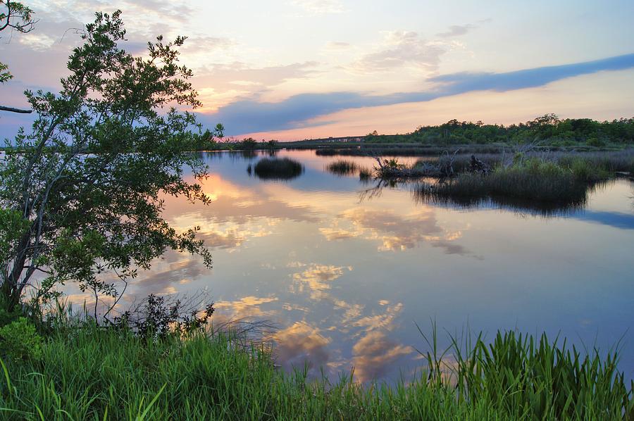 Sunset in the Swamp Photograph by David Jordan