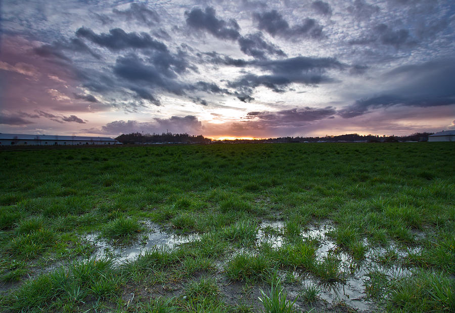Sunset Photograph - Sunset in the swamp by Eti Reid