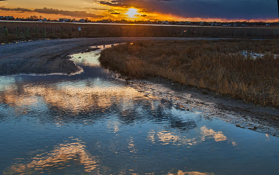 Sunset In The Wetlands Photograph by Cathy Kovarik