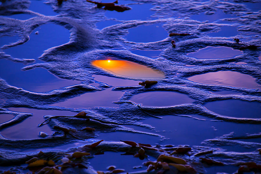 Sunset Photograph - Sunset In Tide pools by Garry Gay