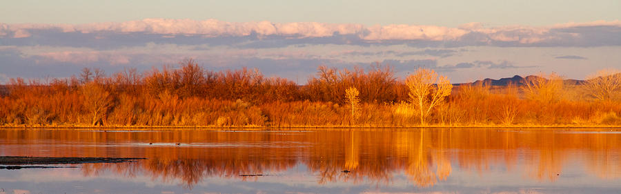 Sunset in Winter by Steve Kaye Sunset in Winter by Steve Kaye