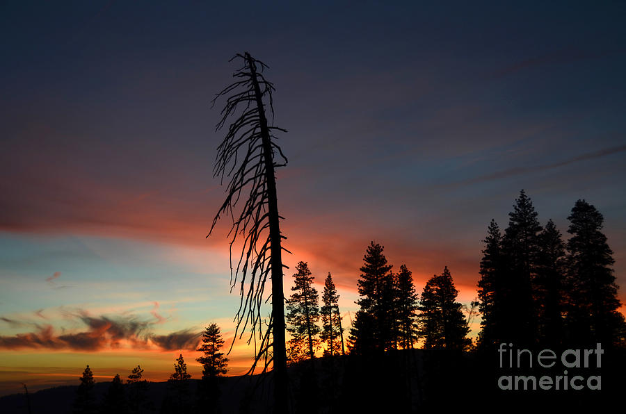 Sunset in Yosemite Photograph by Debra Thompson