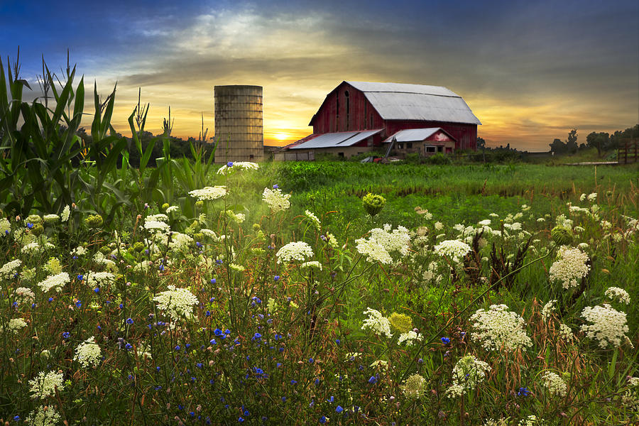 Barn Photograph - Sunset Lace Pastures by Debra and Dave Vanderlaan