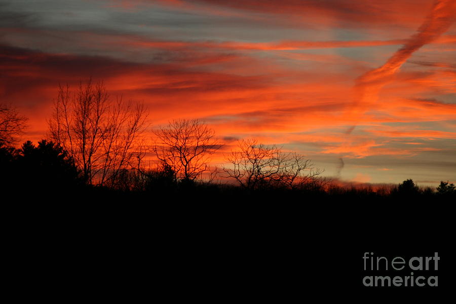 Sunset Photograph - Sunset Ladder by Neal Eslinger