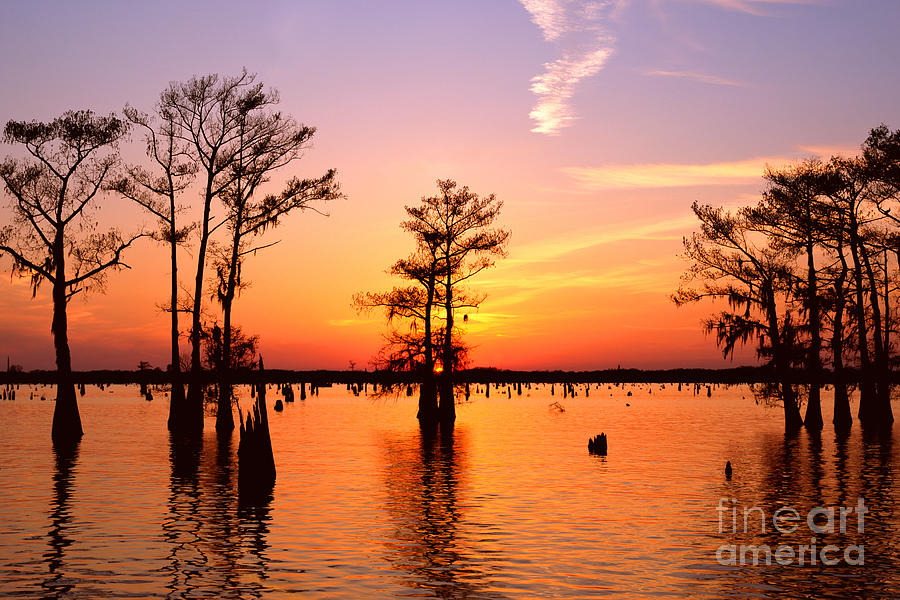 Sunset Lake in Louisiana Photograph by Benedict Heekwan Yang