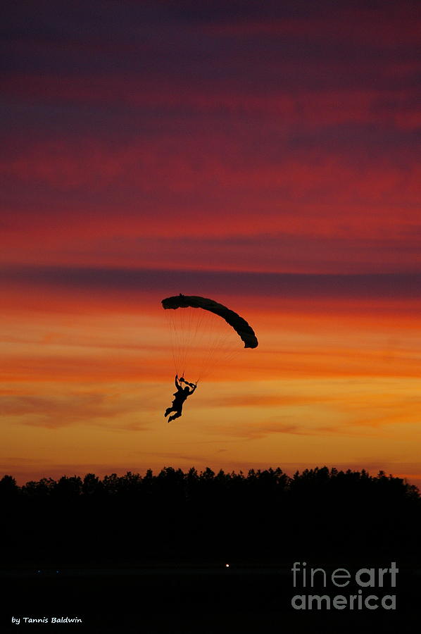 Sunset Landing Photograph by Tannis  Baldwin
