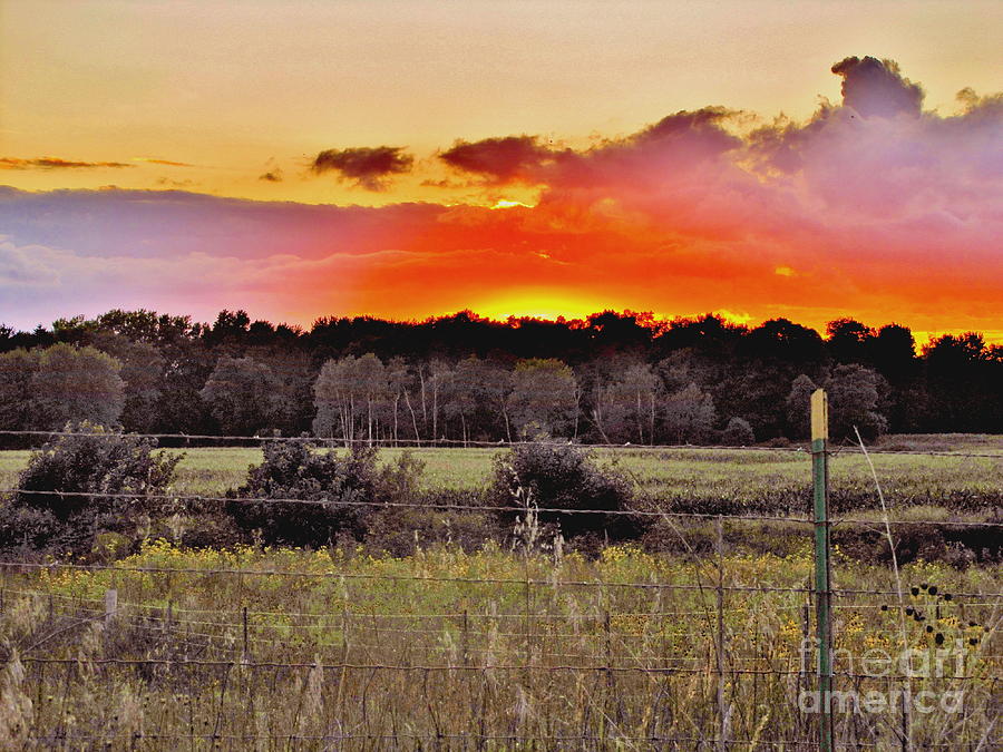 Sunset Meadow Photograph by Marilyn Smith