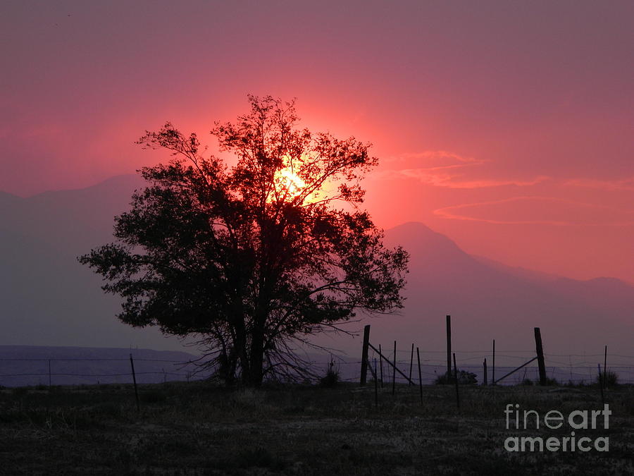 Sunset Photograph by Michelle Frizzell-Thompson