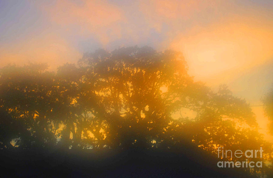 Sunset Mocks Sunrise Photograph by George D Gordon III