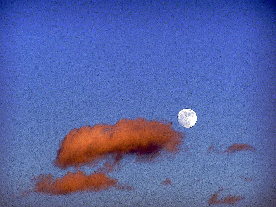 Sunset Digital Art - Sunset moon by Sally Stevens