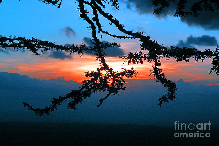 Sunset  Photograph by Morris Keyonzo