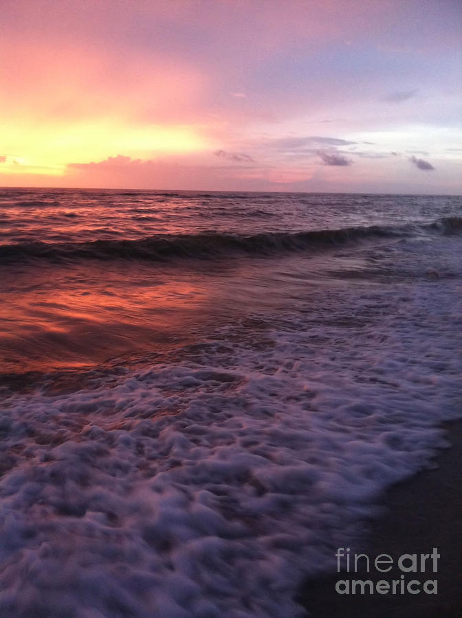 Sunset. Naples.FL Photograph by Oksana Semenchenko