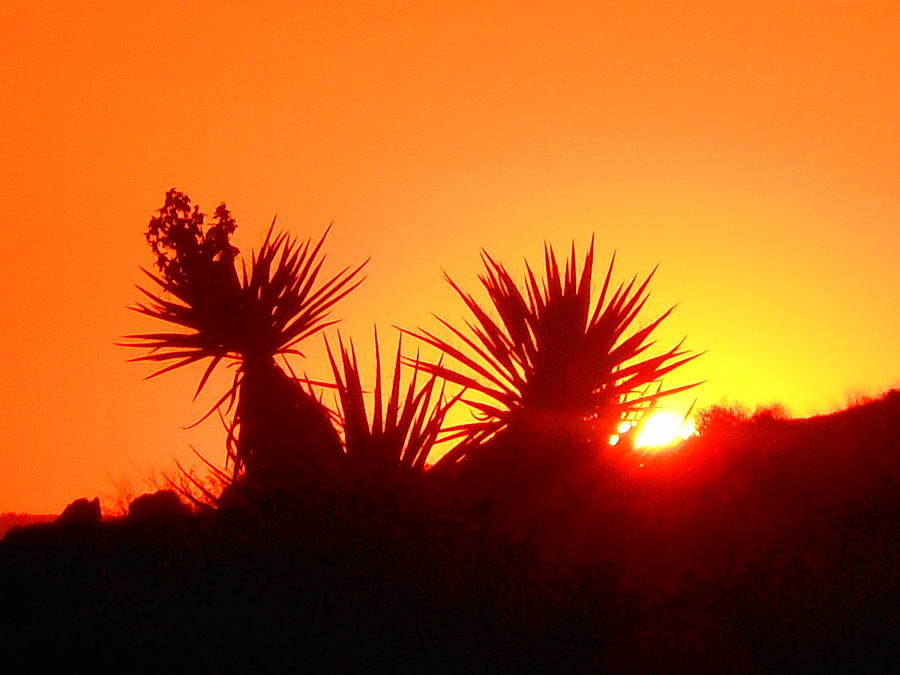 Sunset Near Castle Rock Photograph by James Welch - Fine Art America