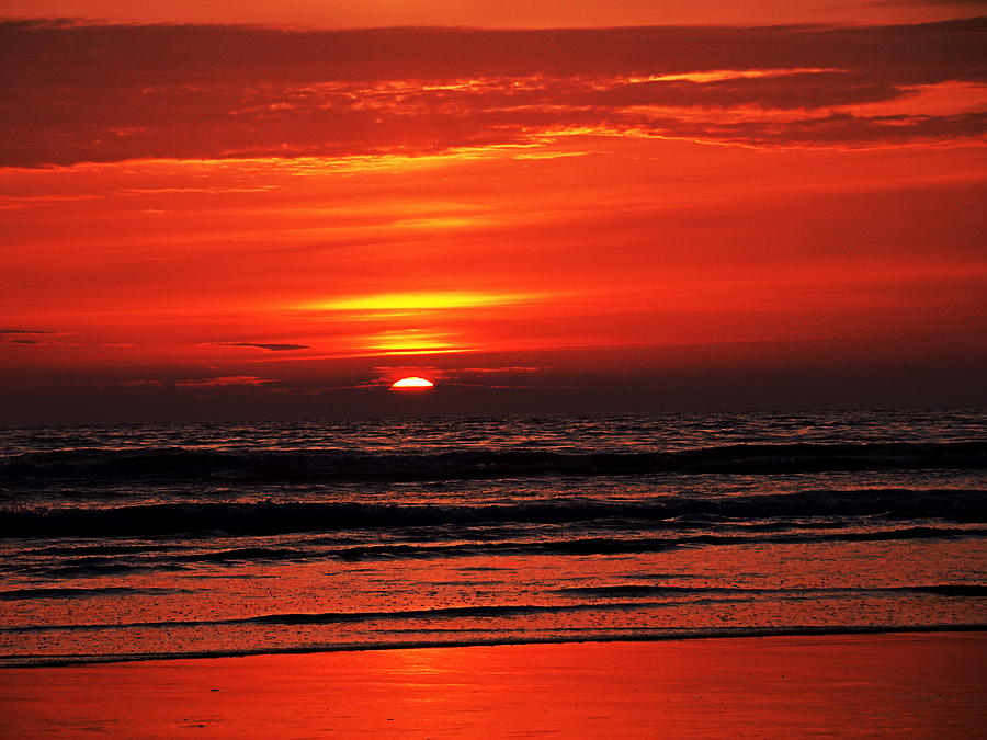 Sunset Photograph by Nick Kloepping