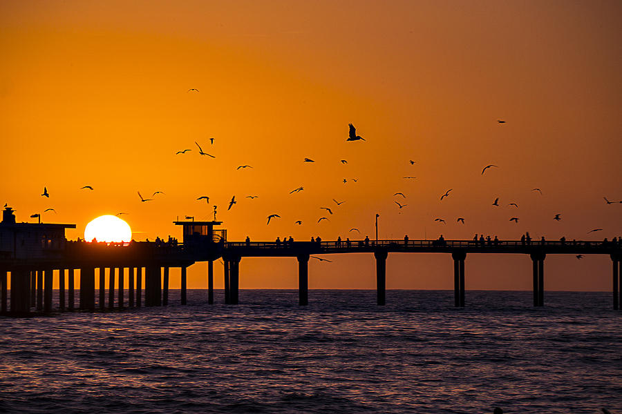 Sunset Ocean Beach pier Photograph by Garry Gay