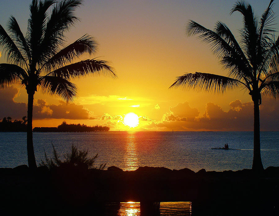 Sunset of Palms by Pristine Images Sunset of Palms by Pristine Images