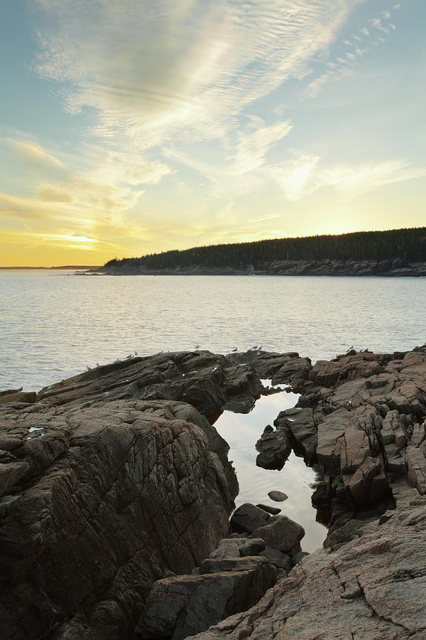 Sunset On A Rocky Shoreline, Acadia Photograph by Susan Dykstra / Design Pics