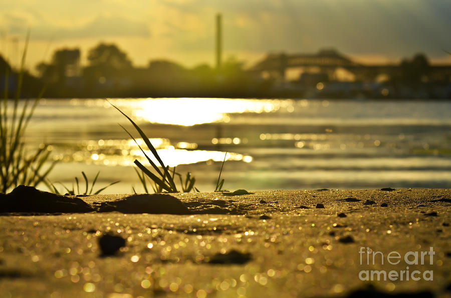 Sunset on a sandy beach Photograph by PatriZio M Busnel
