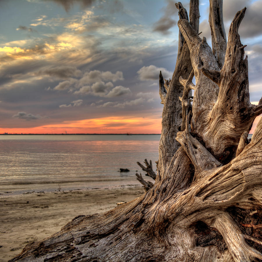 Sunset Photograph - Sunset on Driftwood Beach by Greg and Chrystal Mimbs