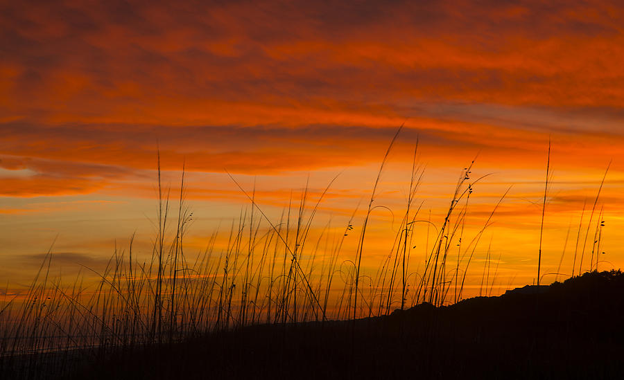 Sunset on Fire Photograph by Bill Cubitt