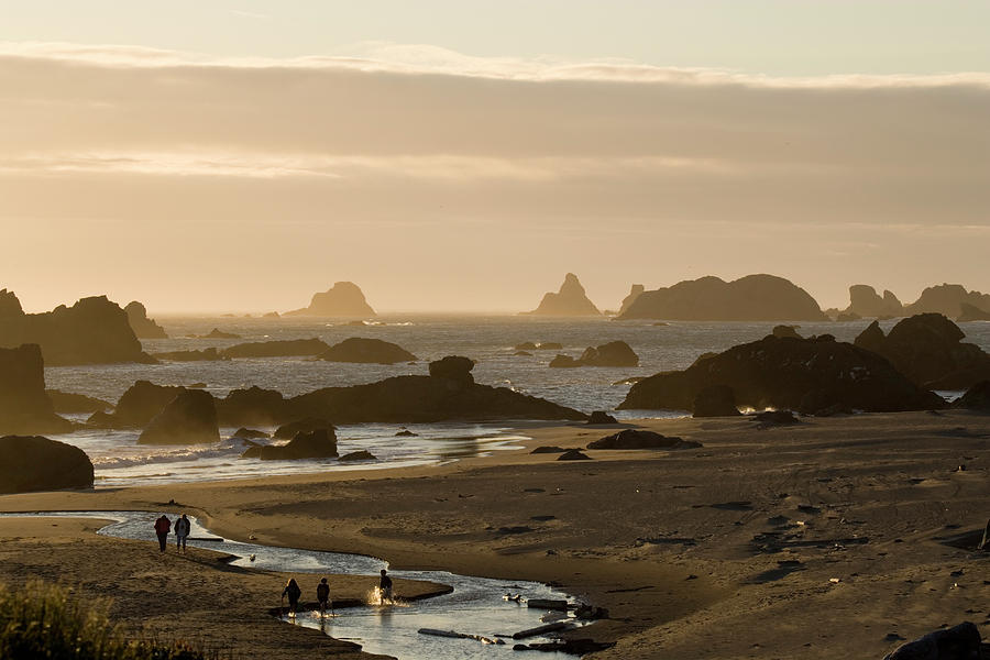 Sunset On Harris Beach, Harris Beach Photograph by Henry Georgi - Pixels