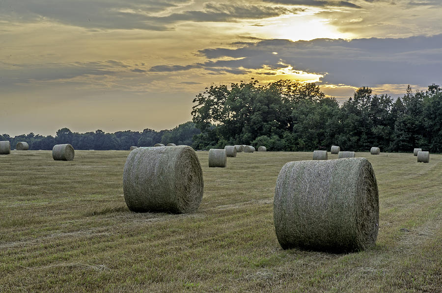 Sunset On Hay Field In Anderson County SC Photograph by Willie Harper