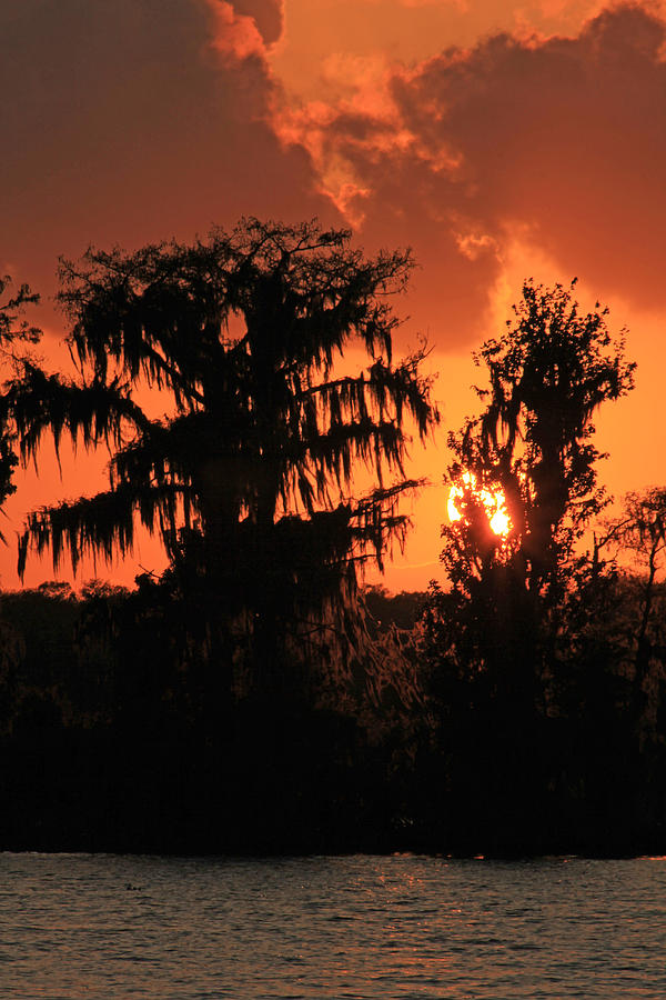 Sunset on Lake Verret Photograph by Miriam Tiritilli Fine Art America