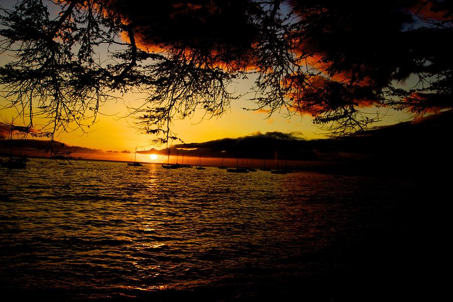 Sunset on Maui Photograph by Max  Greene