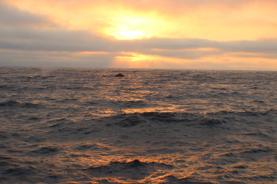 Sunset on Monterey Bay Photograph by John Mathews