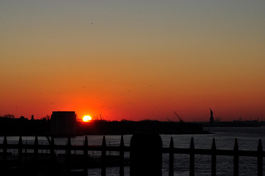 Sunset on NY Harbor with birds and the Statue of Liberty Photograph by Diane Lent
