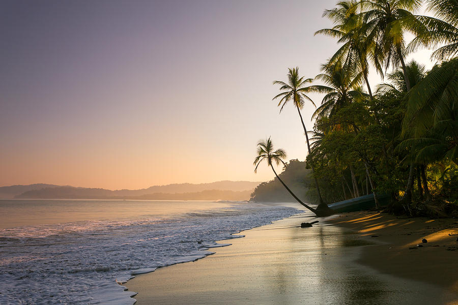Sunset on palm fringed beach, Costa Rica Photograph by Matteo Colombo