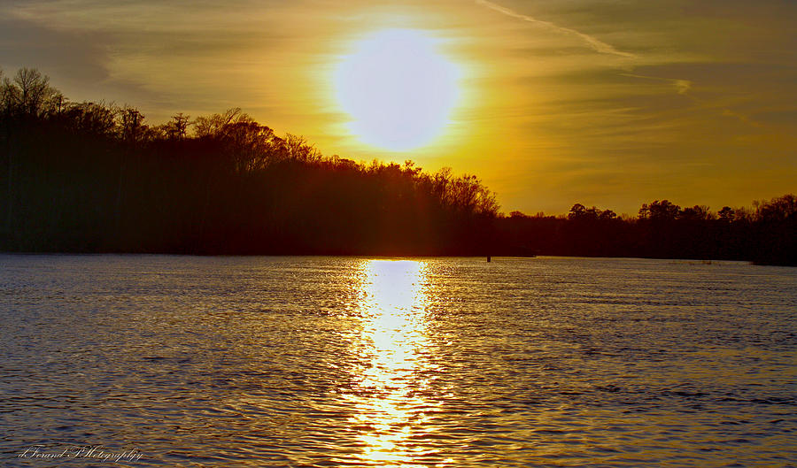 Sunset on the Apalachicola River Photograph by Debra Forand