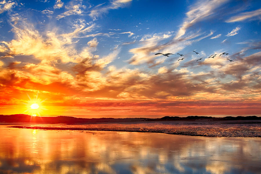 Sunset on the Bay Photograph by Beth Sargent Sunset on the Bay Photograph by Beth Sargent