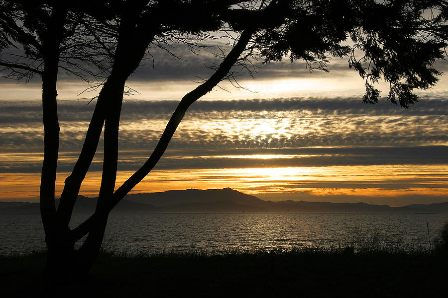 San Francisco Photograph - Sunset On The Bay by Robert Woodward