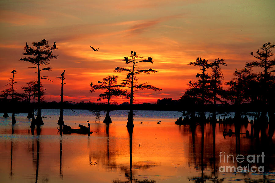 Sunset Photograph - Sunset on the Bayou by Carey Chen