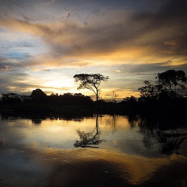 Nature Photograph - Sunset On The Bolivian Amazon. This Was by Erica Kuschel