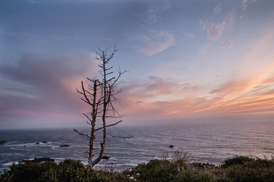 Sunset on the California Coast Photograph by Melany Sarafis