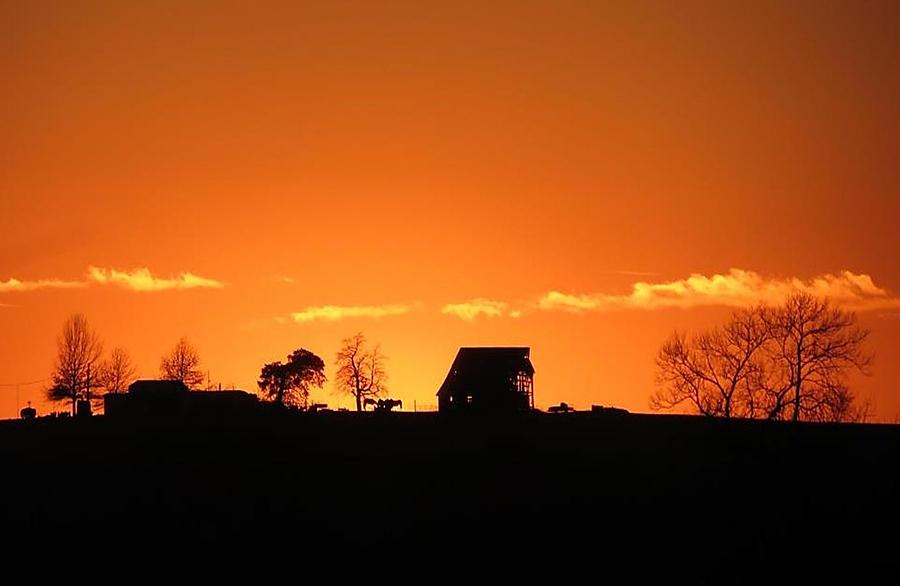 Sunset on the Farmstead Photograph by Renee Michelle Wenker