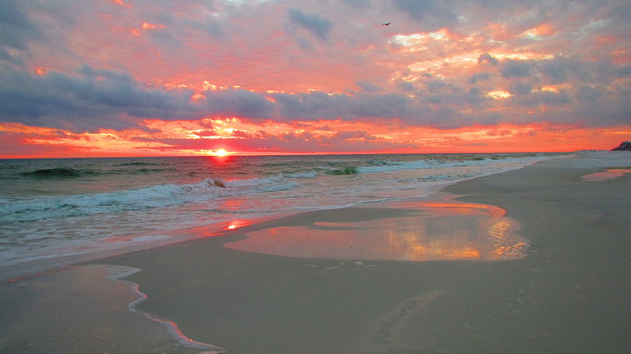 Water Photograph - Sunset on the Gulf by Denise Hoff Water Photograph - Sunset on the Gulf by Denise Hoff
