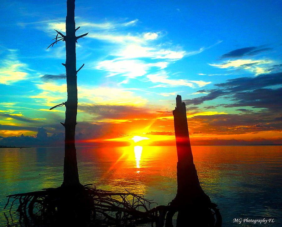 Sunset Photograph - Sunset On The Island by Marty Gayler Sunset Photograph - Sunset On The Island by Marty Gayler