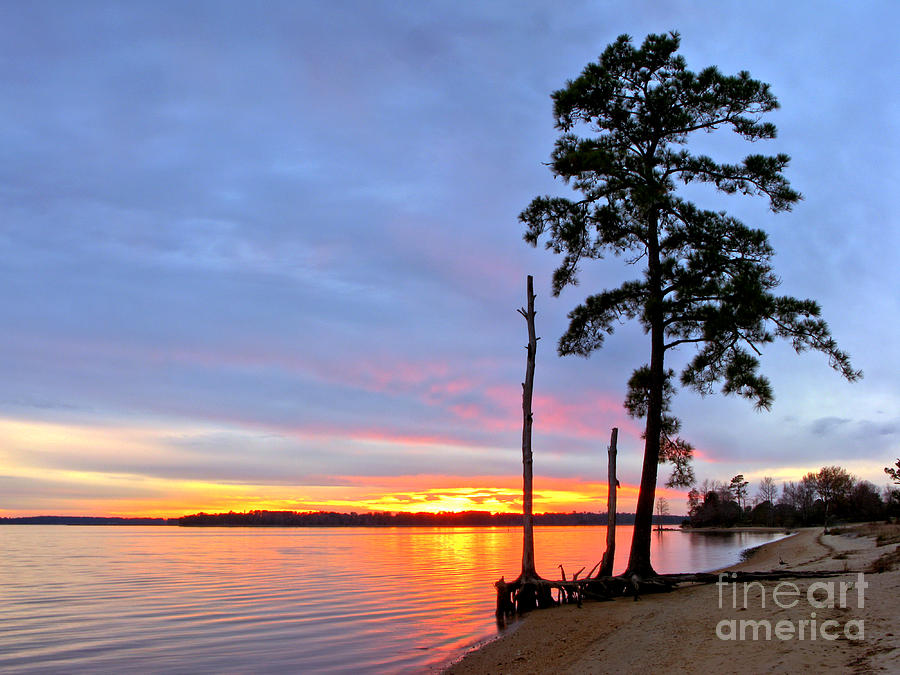 Sunset Photograph - Sunset on the James River by Olivier Le Queinec