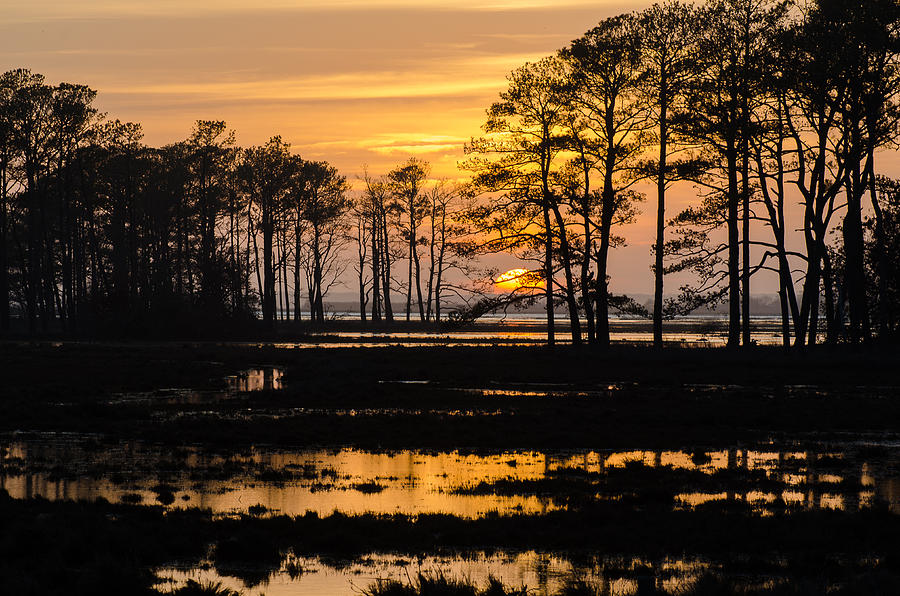 Sunset Photograph - Sunset on the Marsh by Sherri Eisenhuth