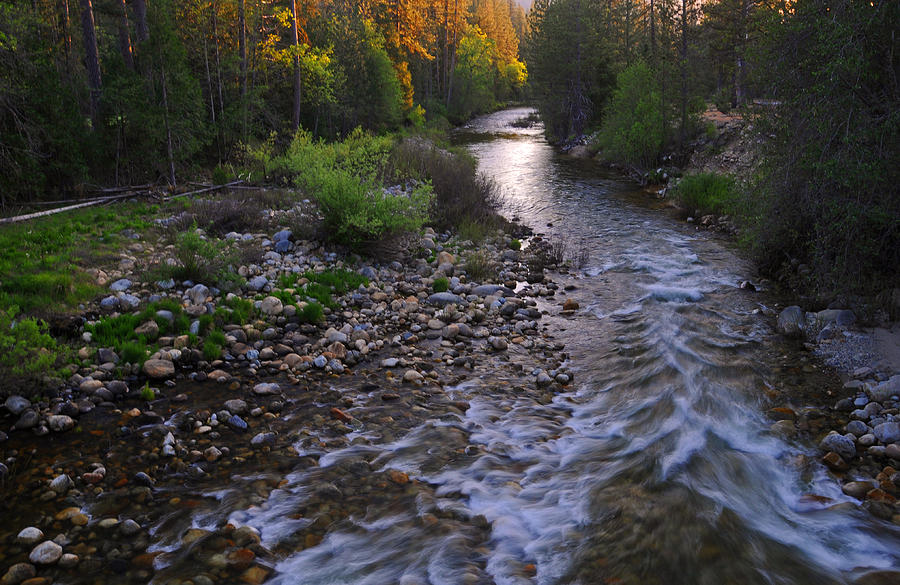Yosemite National Park Photograph - Sunset on the Merced by Lynn Bauer