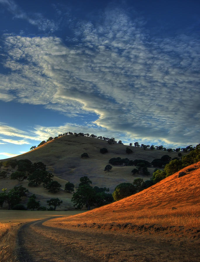 Sunset On The Miwok Trail Photograph by Marc Crumpler