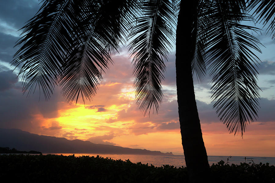 Sunset On The North Shore Of Maui Photograph by Ron Dahlquist