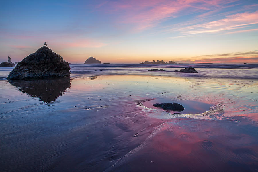 Sunset on the Oregon Coast Photograph by Lindley Johnson