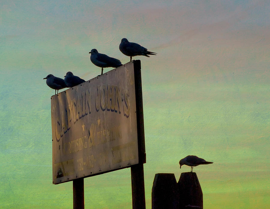 Sunset On The Sign Photograph by Gary Slawsky