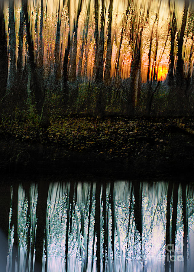 Sunset on Trail Creek II Photograph by Brett Maniscalco
