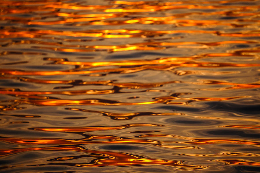 Liquid Gold - Sunset on Water Photograph by Ronda Broatch
